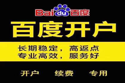 百度推广代运营成功案例解析